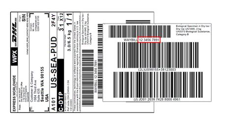 track a package worldwide.